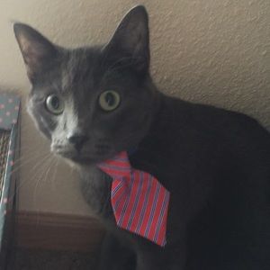 Meet your Posher, Adam